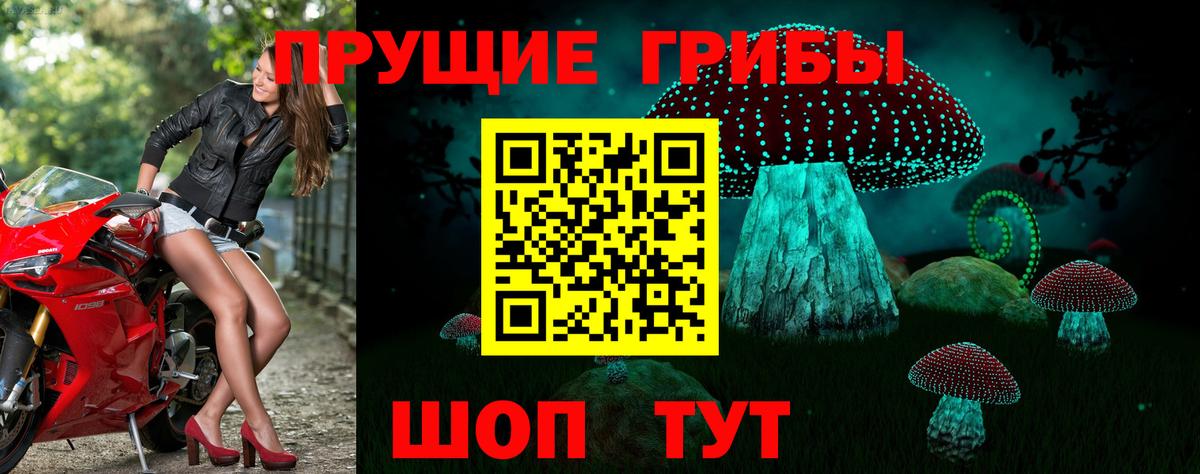 Елабуга  купить наркоту  Вход с VPN  Псилоцибиновые грибы мухоморы 
