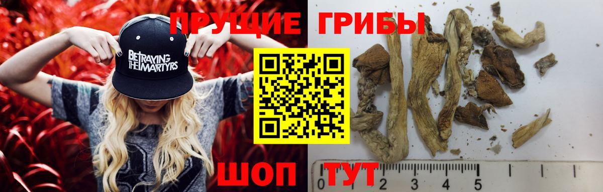 Галлюциногенные грибы GOLDEN TEACHER Елабуга